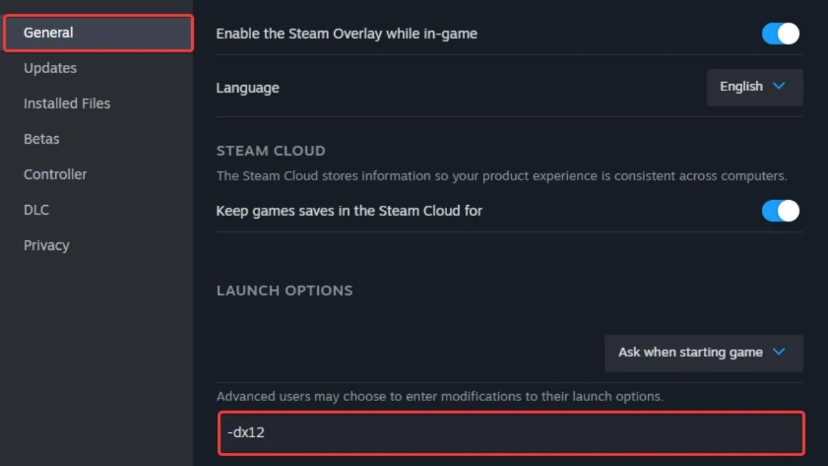 DX12 Launch Command Steam